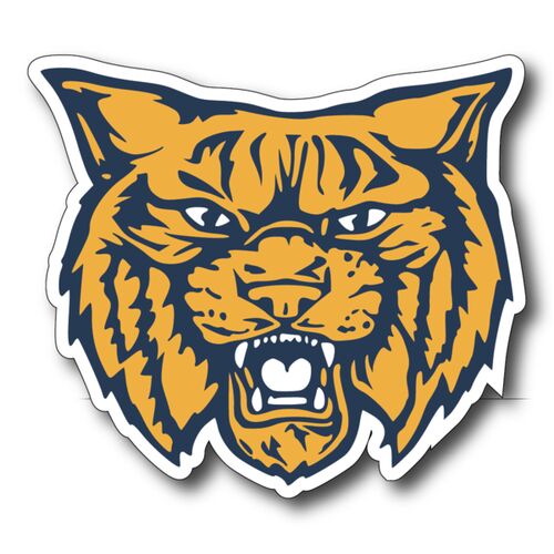 Wildcat Head Thumbnail