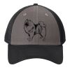 Snapback Contrast Front Mesh Cap Thumbnail