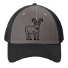 Snapback Contrast Front Mesh Cap Thumbnail